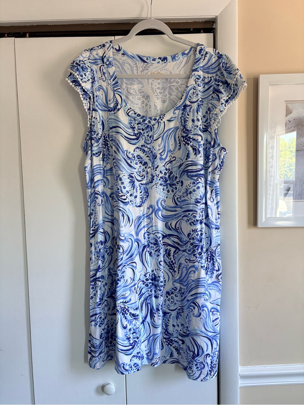 XXL Lilly Pulitzer Bridgette dress